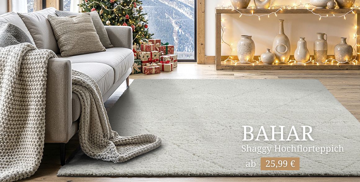 the carpet shop banner (8)