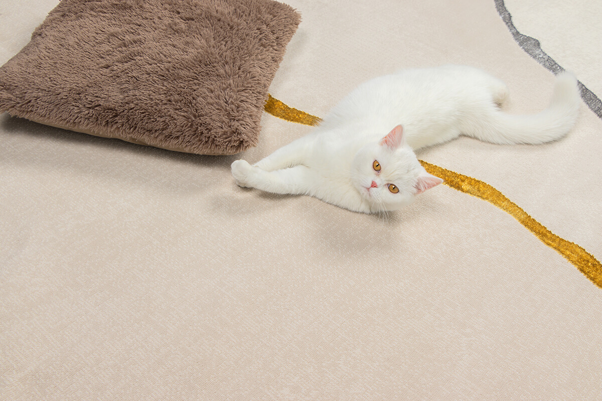 Mila Moderner Teppich