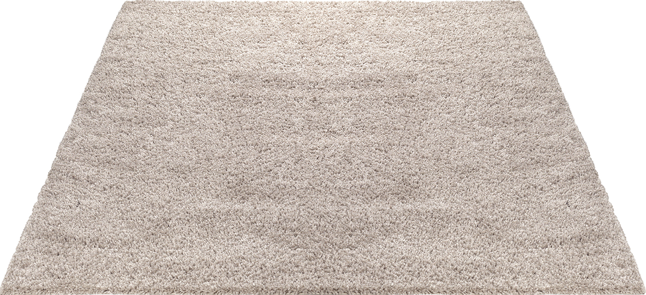 Port Shaggy Moderner Hochflor Teppich